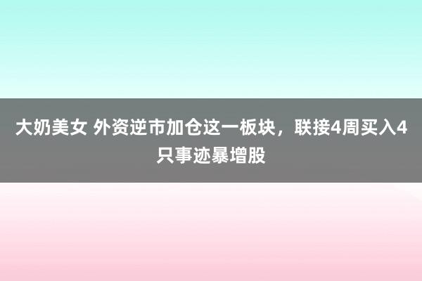 大奶美女 外资逆市加仓这一板块，联接4周买入4只事迹暴增股