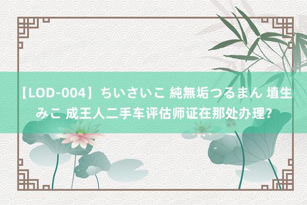 【LOD-004】ちいさいこ 純無垢つるまん 埴生みこ 成王人二手车评估师证在那处办理？