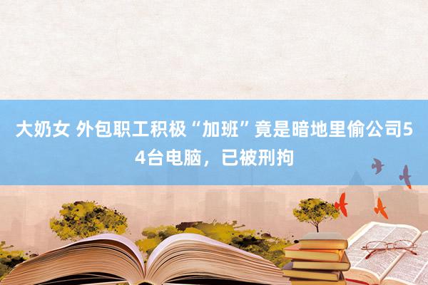 大奶女 外包职工积极“加班”竟是暗地里偷公司54台电脑，已被刑拘