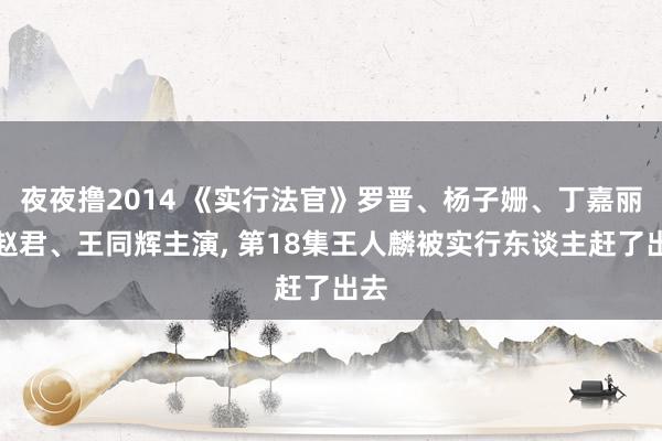 夜夜撸2014 《实行法官》罗晋、杨子姗、丁嘉丽、赵君、王同辉主演, 第18集王人麟被实行东谈主赶了出去