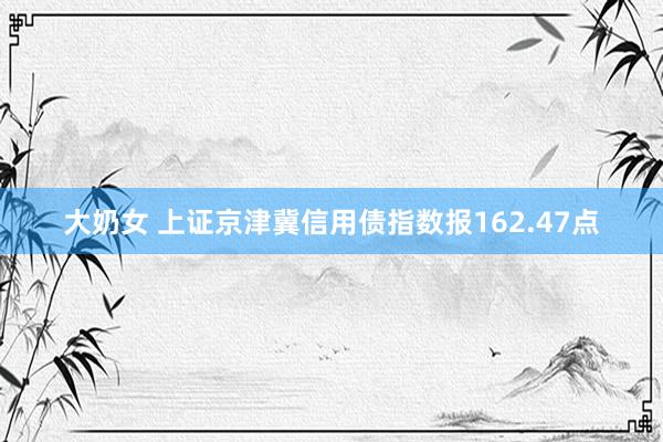 大奶女 上证京津冀信用债指数报162.47点