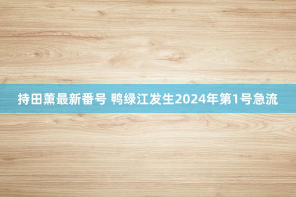 持田薫最新番号 鸭绿江发生2024年第1号急流