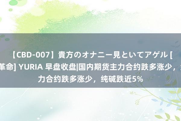 【CBD-007】貴方のオナニー見といてアゲル [痴的◆自慰革命] YURIA 早盘收盘|国内期货主力合约跌多涨少，纯碱跌近5%