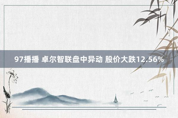 97播播 卓尔智联盘中异动 股价大跌12.56%