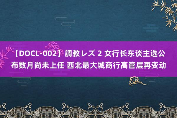 【DOCL-002】調教レズ 2 女行长东谈主选公布数月尚未上任 西北最大城商行高管层再变动