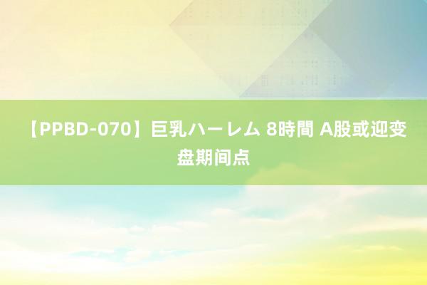 【PPBD-070】巨乳ハーレム 8時間 A股或迎变盘期间点