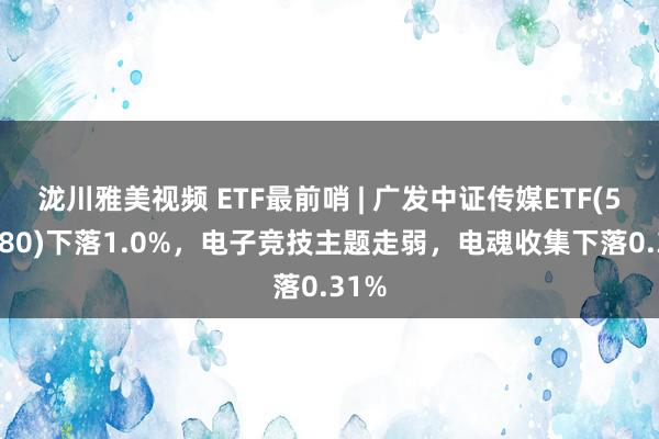 泷川雅美视频 ETF最前哨 | 广发中证传媒ETF(512980)下落1.0%，电子竞技主题走弱，电魂收集下落0.31%