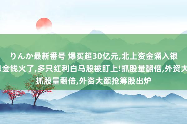 りんか最新番号 爆买超30亿元,北上资金涌入银行板块!高股息金钱火了,多只红利白马股被盯上!抓股量翻倍,外资大额抢筹股出炉