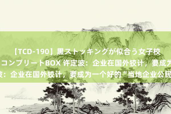 【TCD-190】黒ストッキングが似合う女子校生は美脚ニューハーフ コンプリートBOX 许定波：企业在国外狡计，要成为一个好的“当地企业公民”