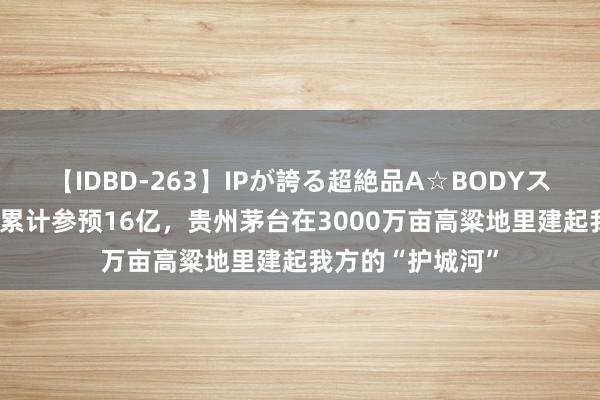 【IDBD-263】IPが誇る超絶品A☆BODYスペシャル8時間 累计参预16亿，贵州茅台在3000万亩高粱地里建起我方的“护城河”