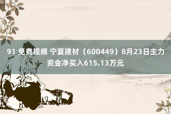 91 免费视频 宁夏建材（600449）8月23日主力资金净买入615.13万元