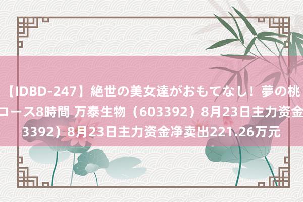 【IDBD-247】絶世の美女達がおもてなし！夢の桃源郷 IP風俗街 VIPコース8時間 万泰生物（603392）8月23日主力资金净卖出221.26万元