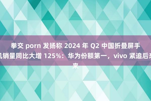 拳交 porn 发扬称 2024 年 Q2 中国折叠屏手机销量同比大增 125%：华为份额第一，vivo 紧追后来