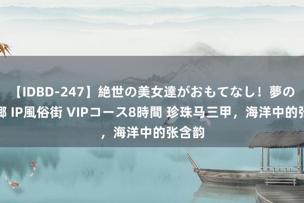 【IDBD-247】絶世の美女達がおもてなし！夢の桃源郷 IP風俗街 VIPコース8時間 珍珠马三甲，海洋中的张含韵